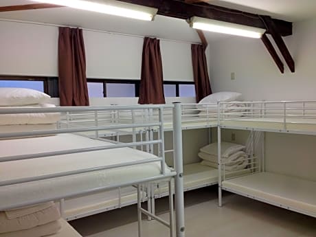 Bunk Bed in Mixed Dormitory Room