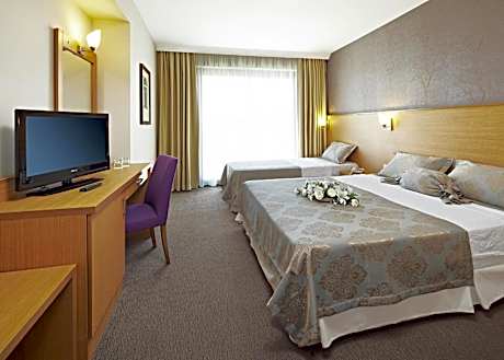 Standard Triple Room with Partial Sea View