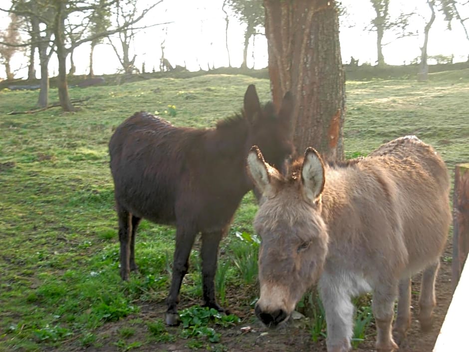 Les Chambres d'Ebalet