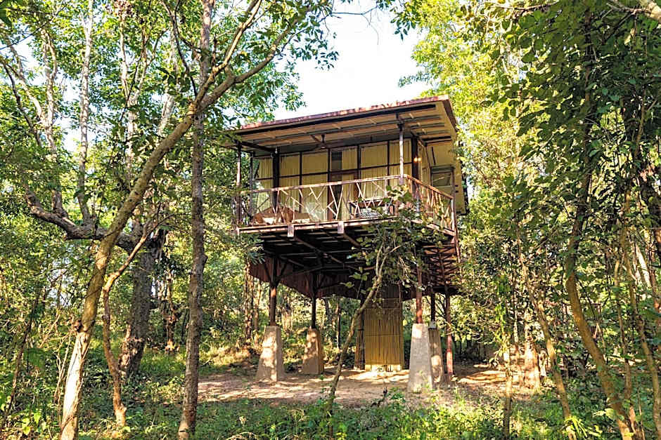 Kanha Jungle Camp