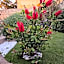 B&B Villa Martina