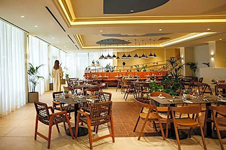 Domes Aulus Zante, Autograph Collection