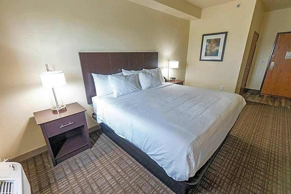 Cobblestone Inn and Suites Sheldon