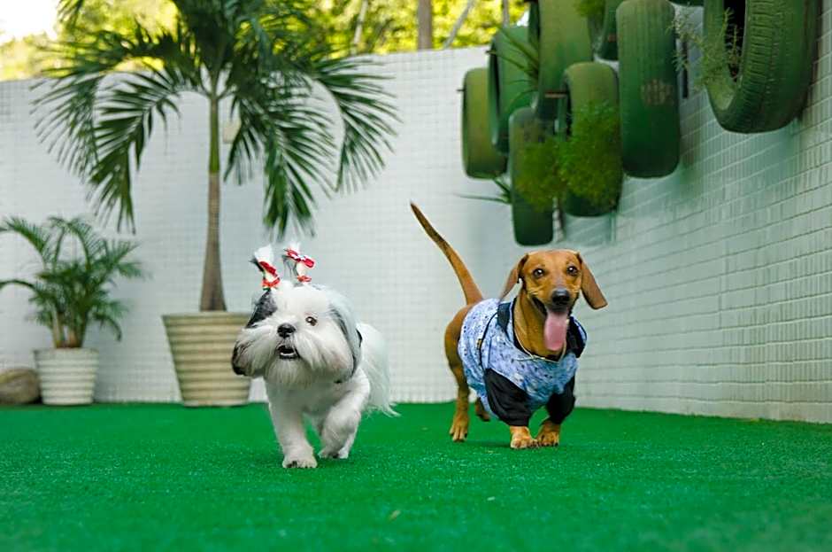 Nord Easy Green Sunset