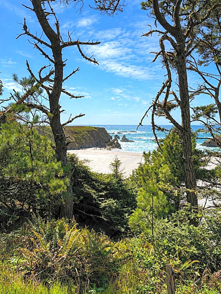Seabird Lodge Fort Bragg