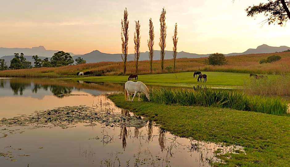 Montusi Mountain Lodge