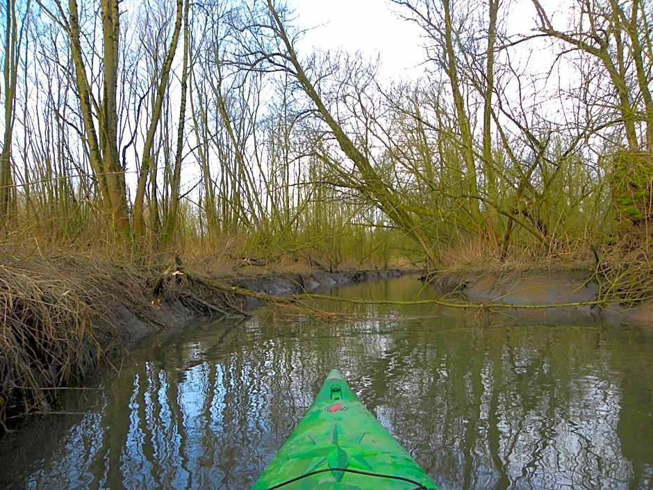 de Brabantse Biesbosch