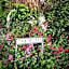 Santi Bhavana Bed & Breakfast