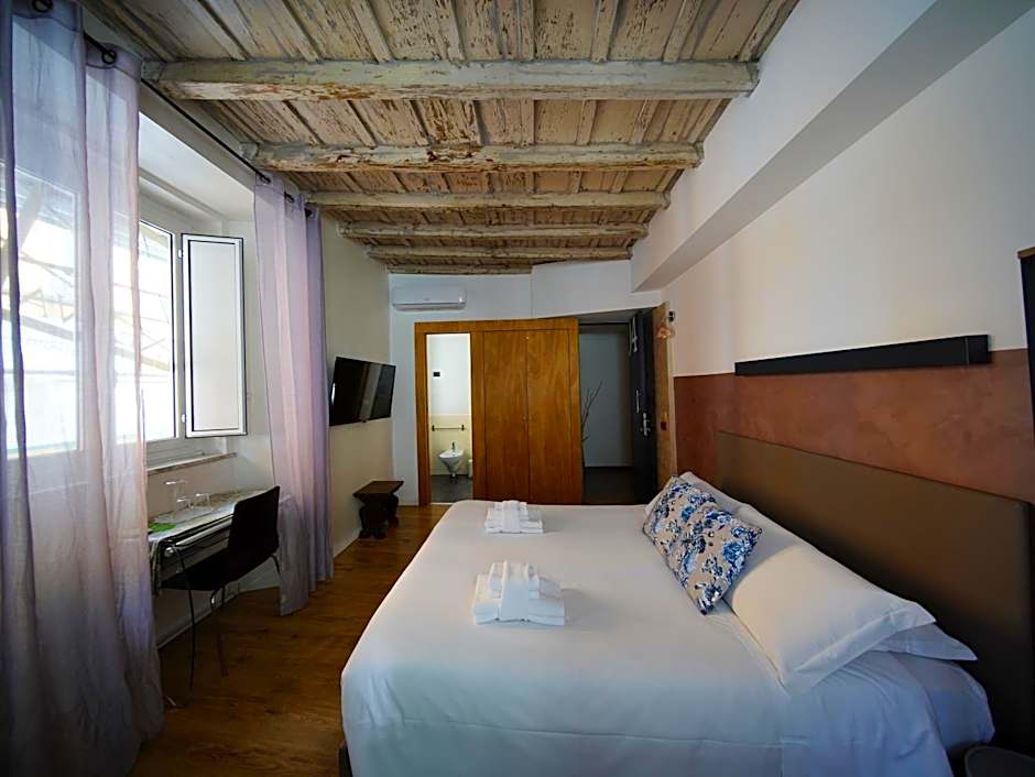 Nerva Accommodation