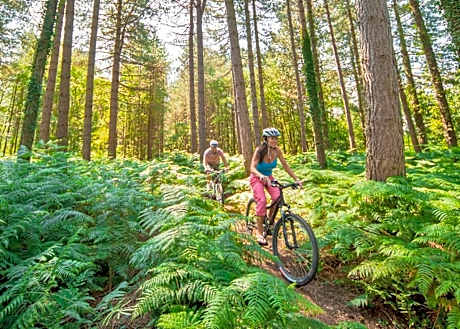 The Sherwood Hideaway Lodges