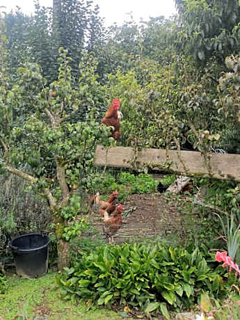 bienvenue chez Joëlle et André au 207