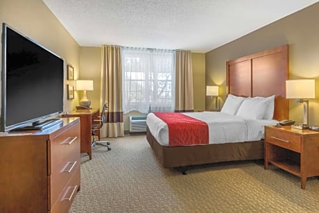 Queen Room with Roll-In Shower - Accessible/Non-Smoking