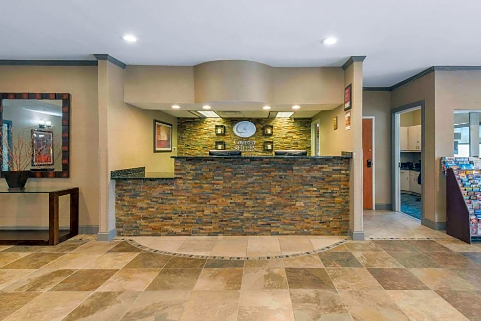Comfort Suites Denver Tech Center/Englewood
