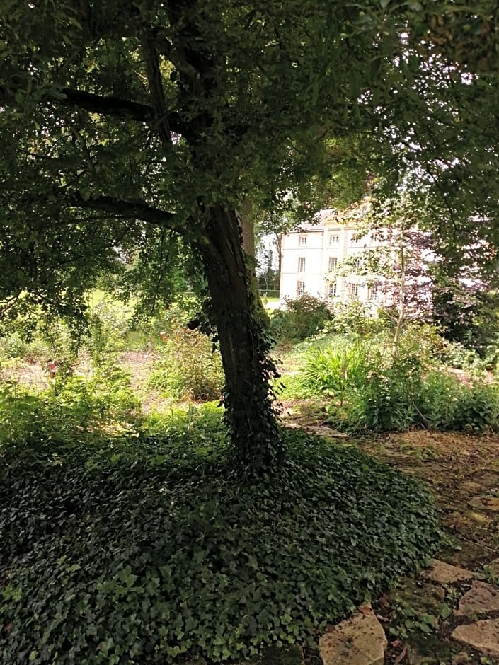 Chambre E André Le Domaine Des Jardins De Bracquetuit