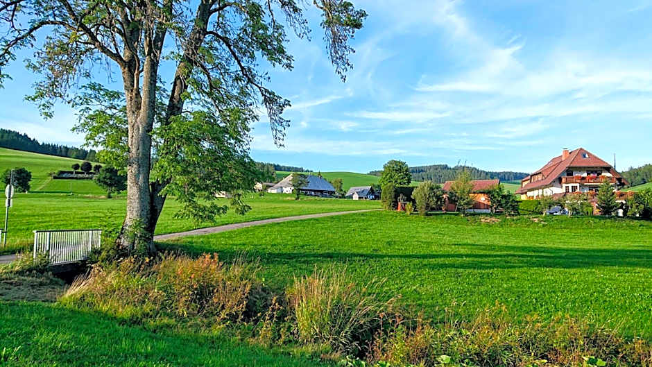 ZUR TRAUBE Schwarzwaldhotel & Restaurant am Titisee