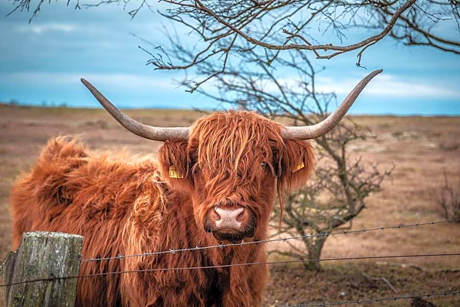 Strandhotel an der Ostsee