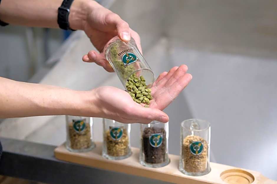 EFI SPA Hotel Superior & Pivovar