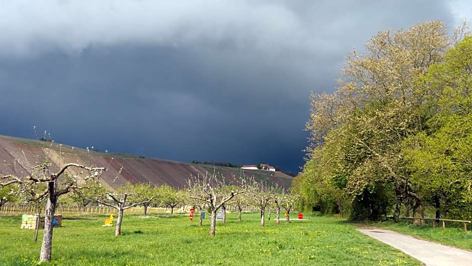 Gasthaus zur Sonne