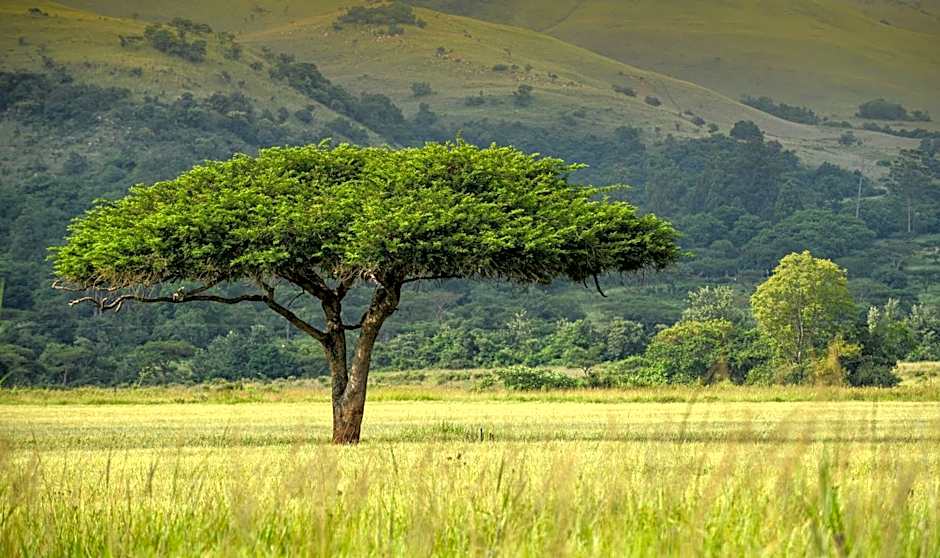 Caracal Lodge