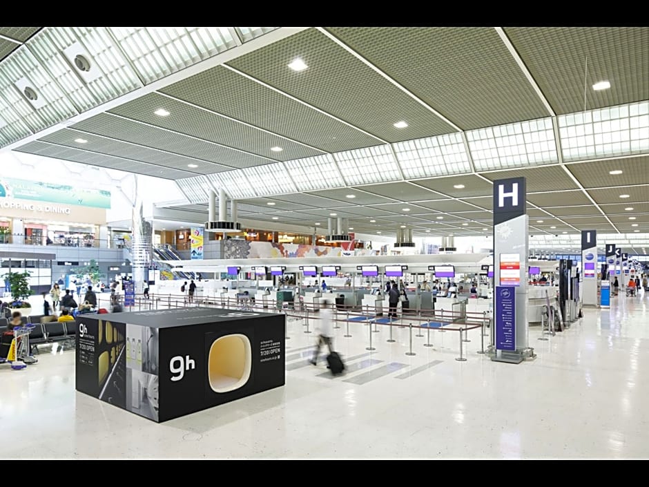 9h nine hours Narita Airport