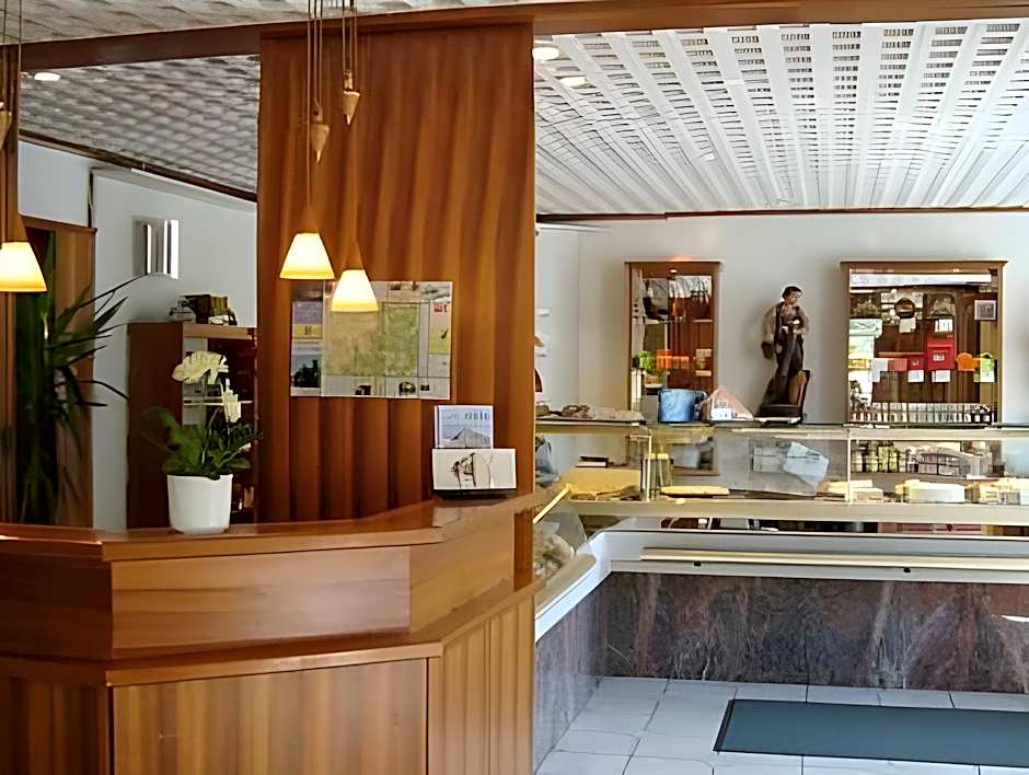DORMERO Moselhotel Koblenz-Alken