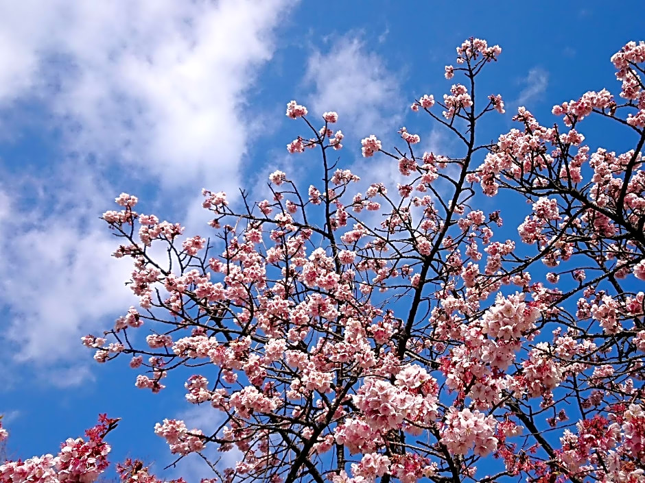 APA Hotel Shinjuku-Gyoemmae