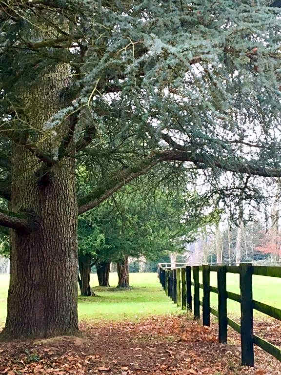 Le Domaine d'Olène