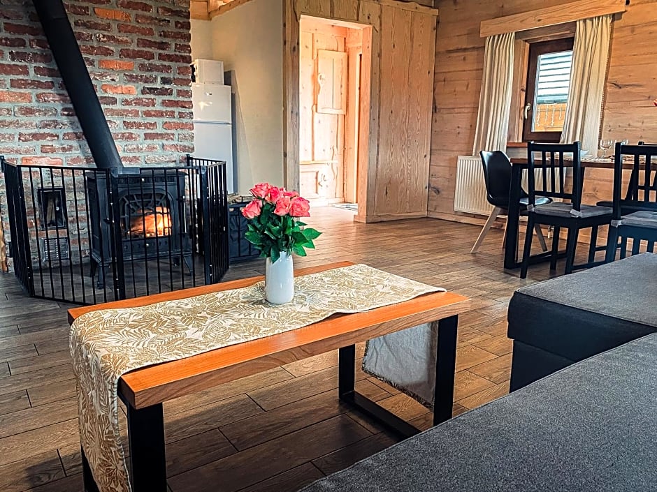 Bieszczadzkie Chatki - Willa Stasia