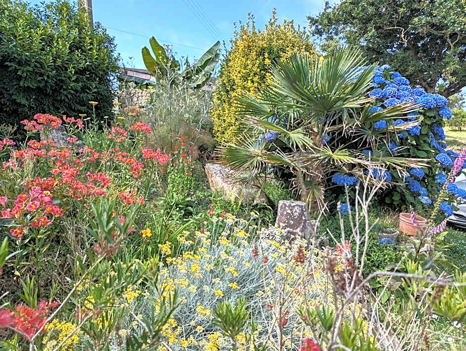 La Tour du Bois Dormant