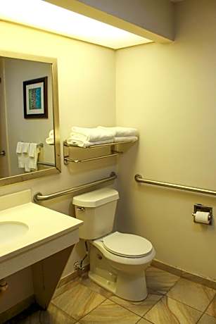King Room with Roll-in Shower - Mobility Access/Non-Smoking
