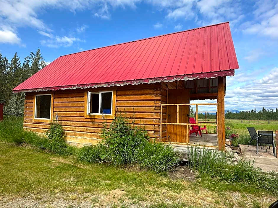 Dry Log Cabin with Mountain Views