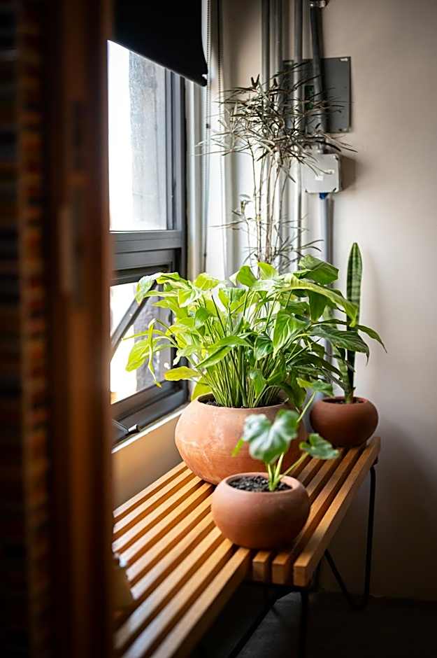 Hotel Boutique Lafayette Tijuana