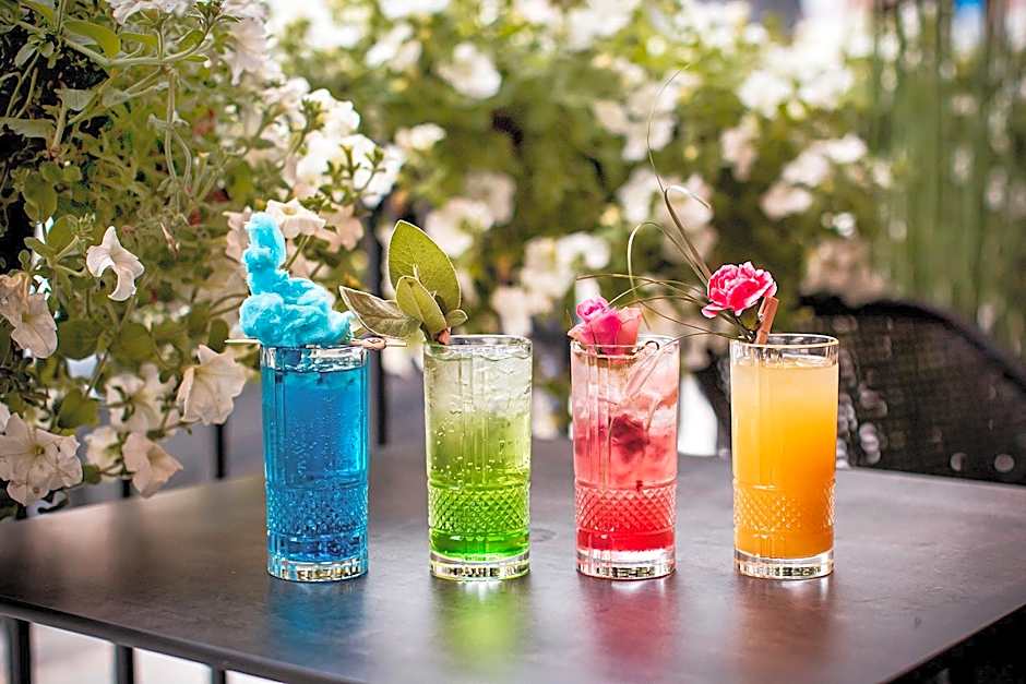 Apartamenty Sowa Bydgoszcz