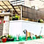Snail Pets Homestay