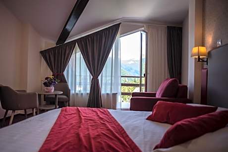 Double Room with Mountain View