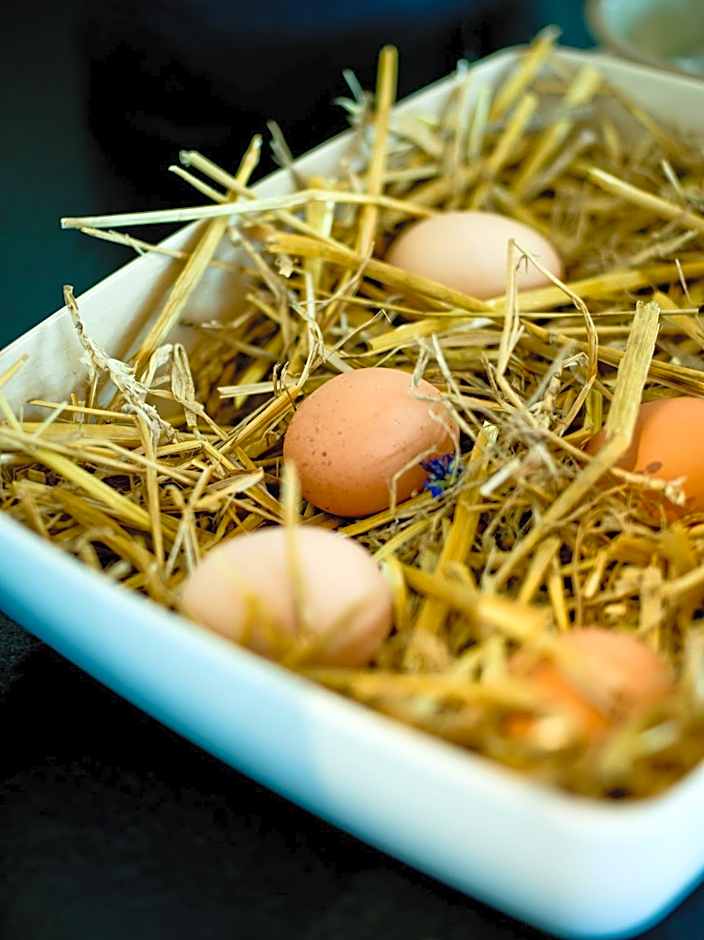 Euler Neuschönau - Naturhotel & Chalets