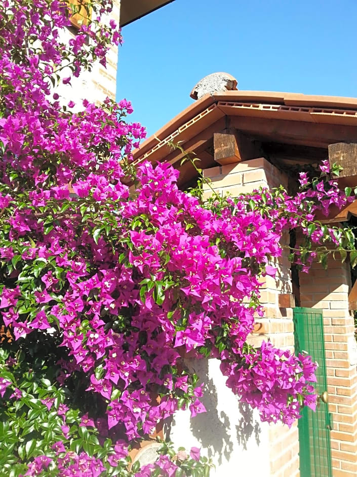 Villa Il Fortino
