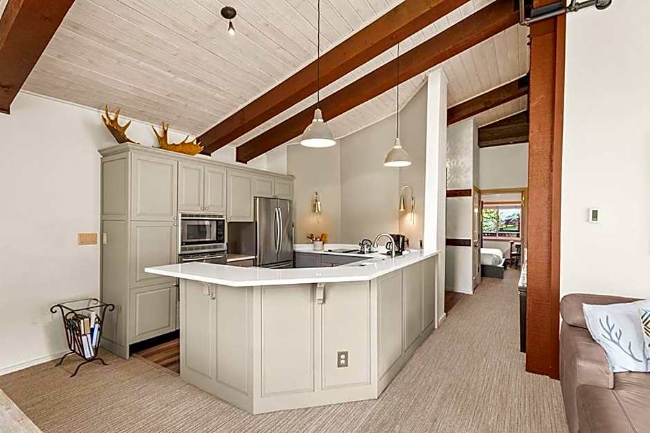 Enclave 309, Snowmass Ski-In/Ski-Out Condo w/Shared Pool/Hot Tub/Private Washer/Dryer/Gym/WiFi