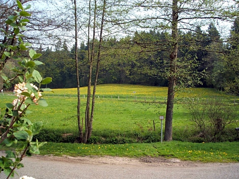 Gasthof & Landhotel Ohrnbachtal