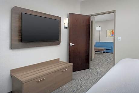 King Suite with Sofa Bed - Non-Smoking