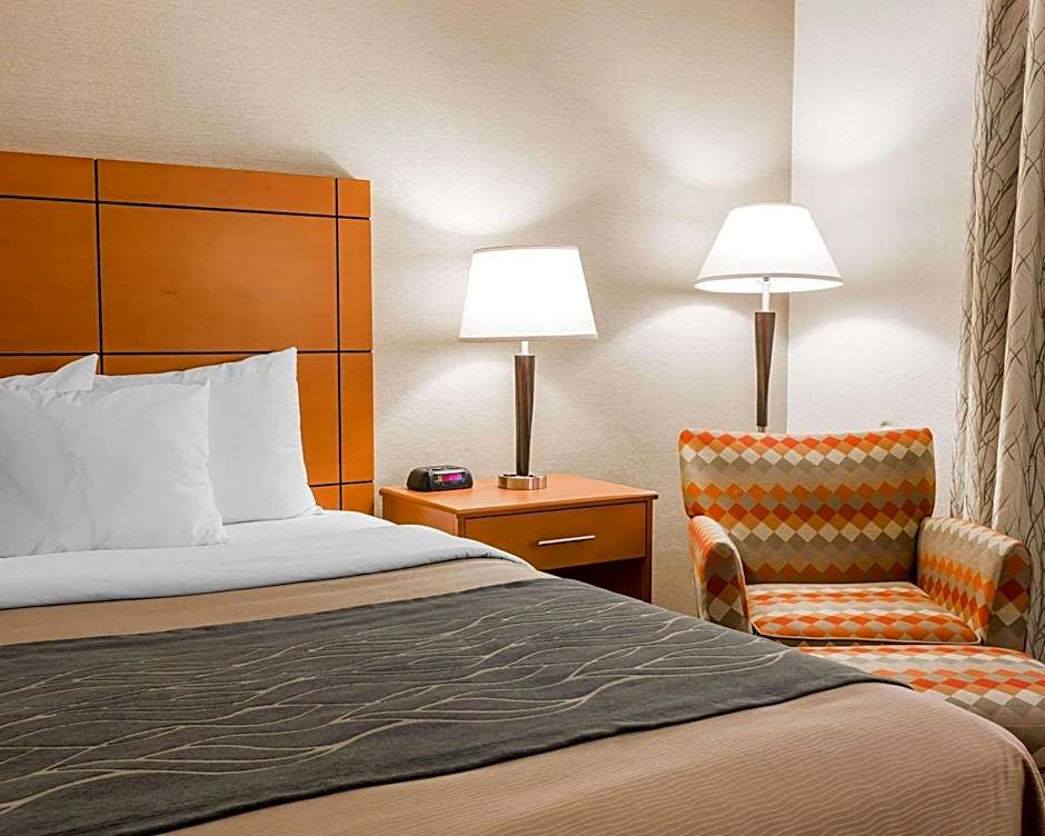 Comfort Inn Metro Airport Romulus