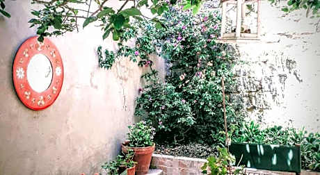 La Collina dei Ciliegi