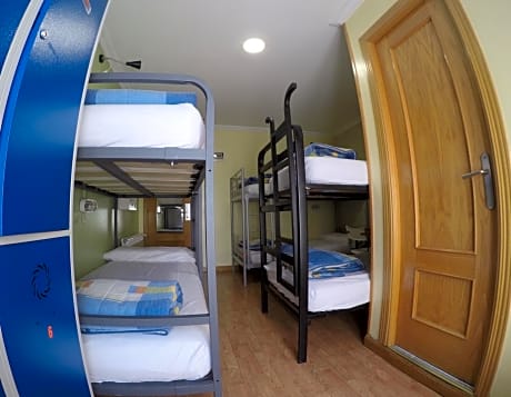 Bed in 6-Bed Dormitory Room with Private Bathroom 