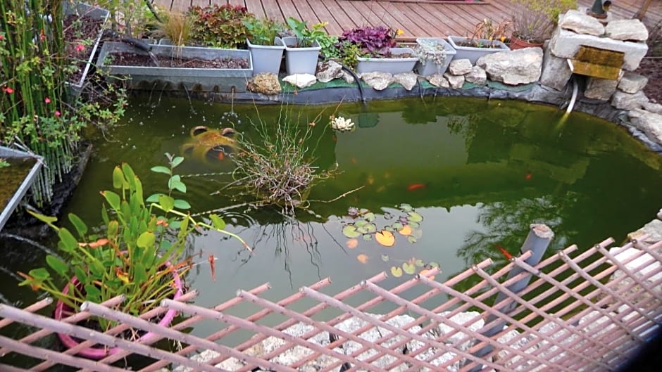 Le Clos des Passiflores