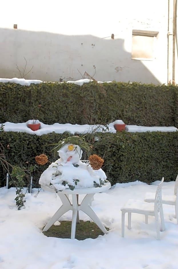 Hotel Sitara International