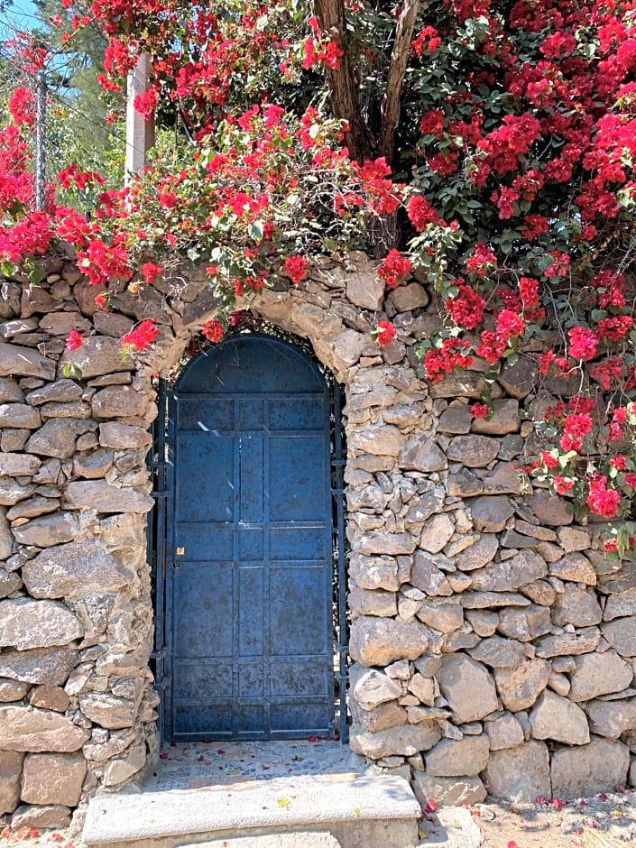 Magnolias Jardin & Boutique Suites