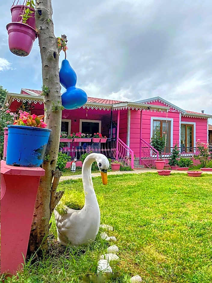 Maşukiye pink house bungalow