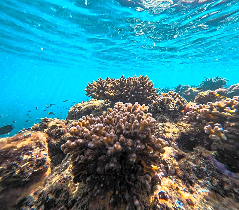 Le Ranong Bistro Hotel