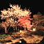 Okunoin Hotel Tokugawa