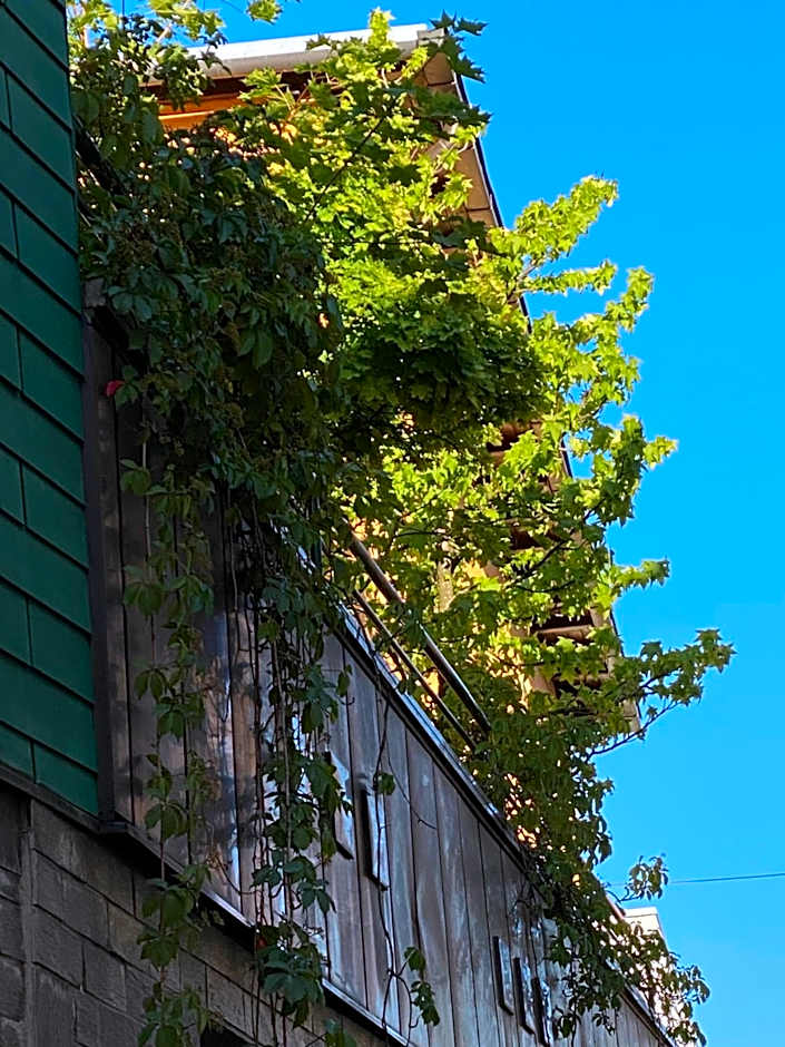 HOTEL ZILLNERs EINKEHR ***